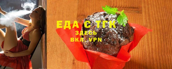 гидра Вязьма