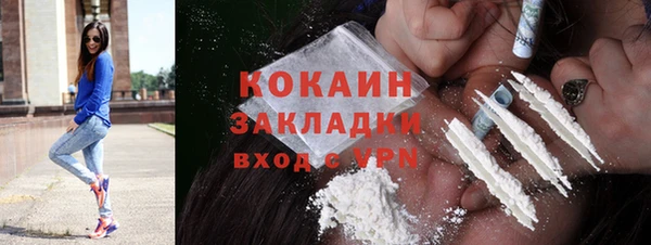 гидра Вязьма