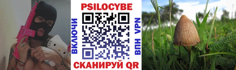 Псилоцибиновые грибы Cubensis  Купить закладки  Зима 
