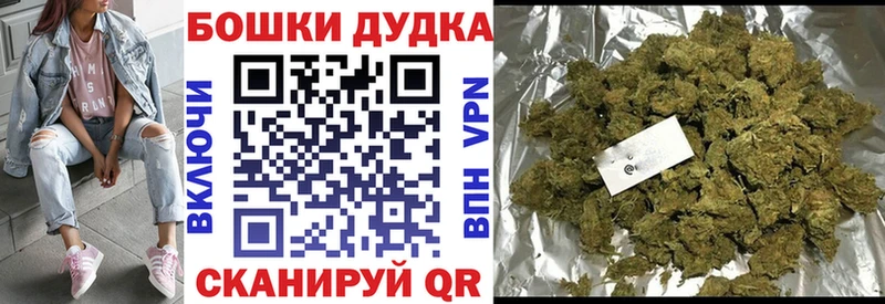 Каннабис планчик  Купить  Зима 